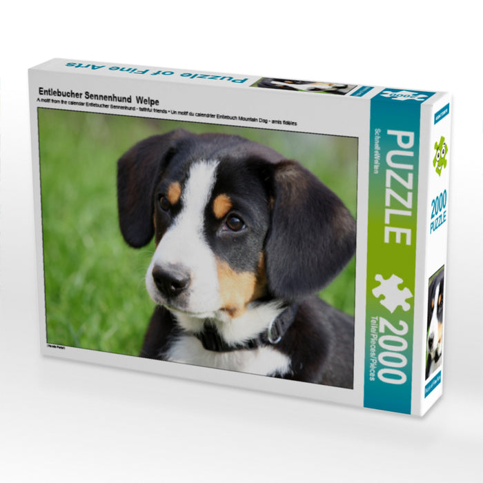 Entlebucher Sennenhund  Welpe - CALVENDO Foto-Puzzle - calvendoverlag 29.99