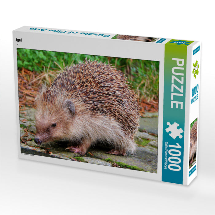 Hedgehog - CALVENDO photo puzzle 