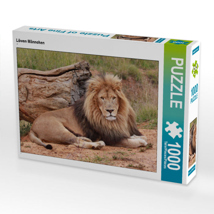 Löwen Männchen - CALVENDO Foto-Puzzle - calvendoverlag 29.99