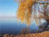 Herbststimmung am Steinhuder Meer - CALVENDO Foto-Puzzle - calvendoverlag 29.99