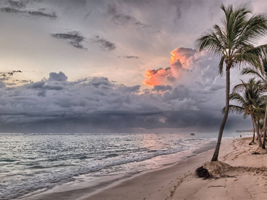 Palmenstrand in der Karibik - CALVENDO Foto-Puzzle