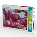 magnolia rustica rubra - CALVENDO Foto-Puzzle - calvendoverlag 29.99
