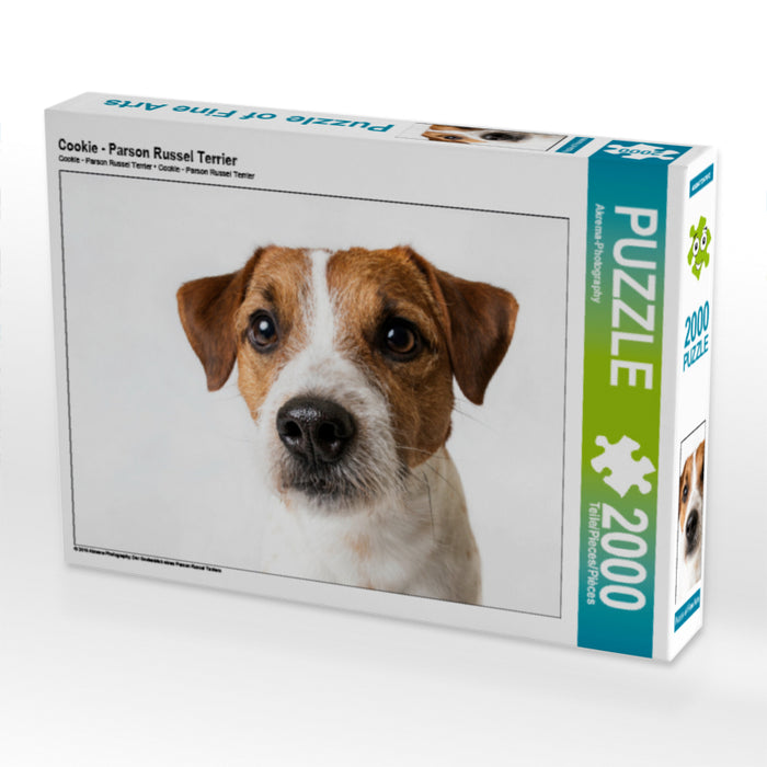 Cookie - Parson Russel Terrier - CALVENDO Foto-Puzzle - calvendoverlag 39.99