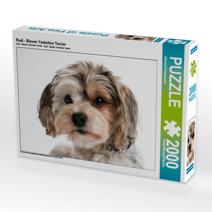 Rudi - Biewer Yorkshire Terrier - CALVENDO Foto-Puzzle - calvendoverlag 39.99