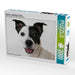 Hermine - Jack Russel Terrier - CALVENDO Foto-Puzzle - calvendoverlag 39.99