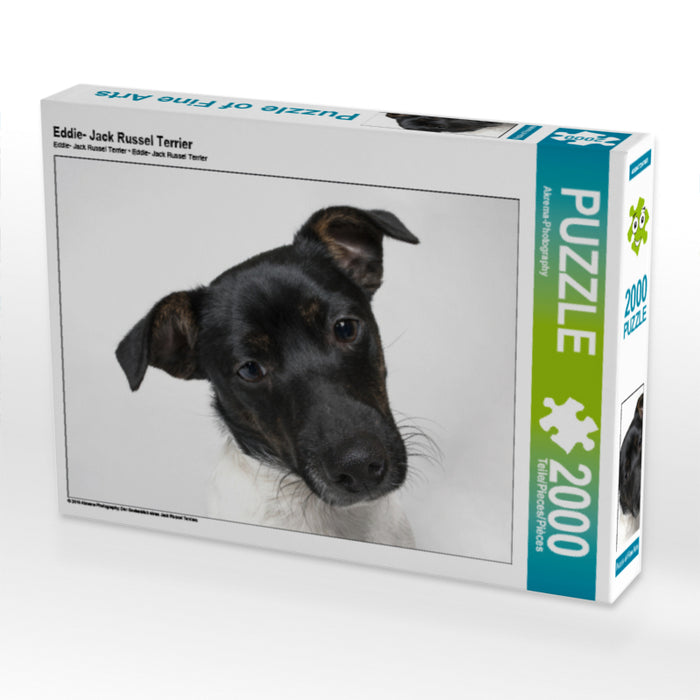 Eddie- Jack Russel Terrier - CALVENDO Foto-Puzzle - calvendoverlag 39.99