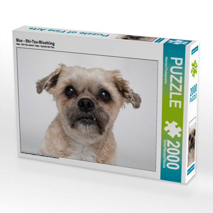 Max - Shi-Tzu-Mischling - CALVENDO Foto-Puzzle - calvendoverlag 39.99