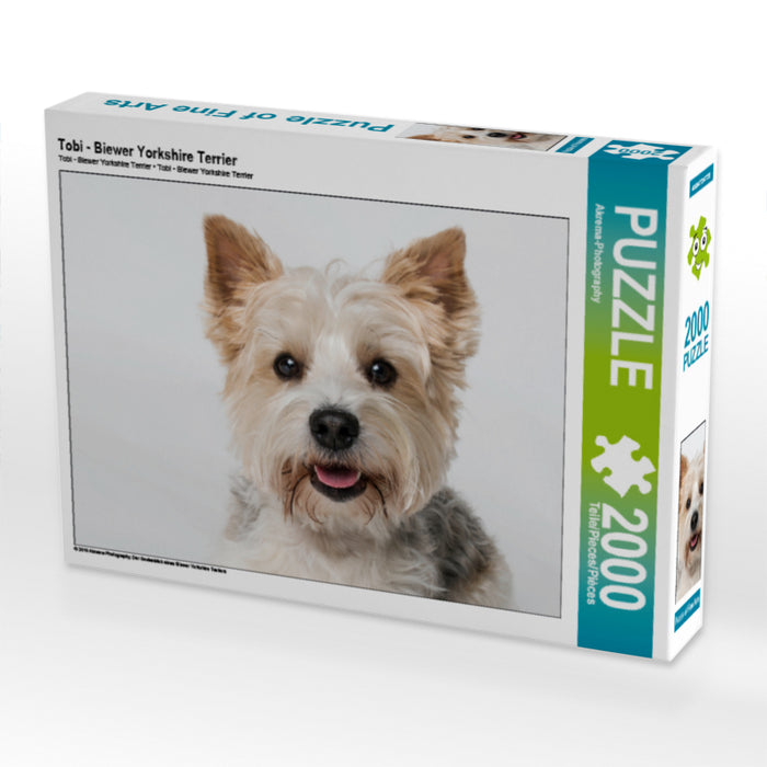 Tobi - Biewer Yorkshire Terrier - CALVENDO Foto-Puzzle - calvendoverlag 39.99