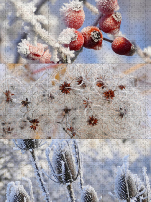 Winterruhe - CALVENDO Foto-Puzzle - calvendoverlag 39.99