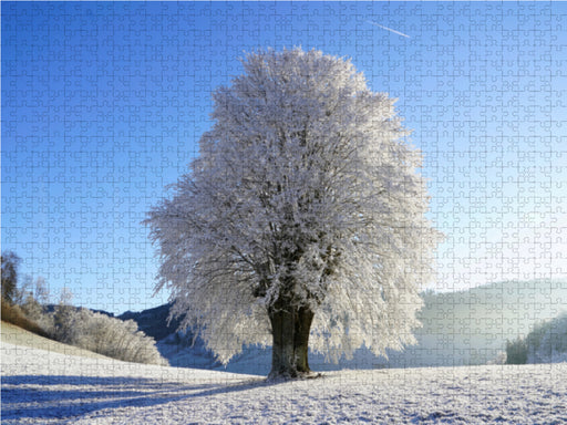 Baum im Winterfrost - CALVENDO Foto-Puzzle - calvendoverlag 29.99
