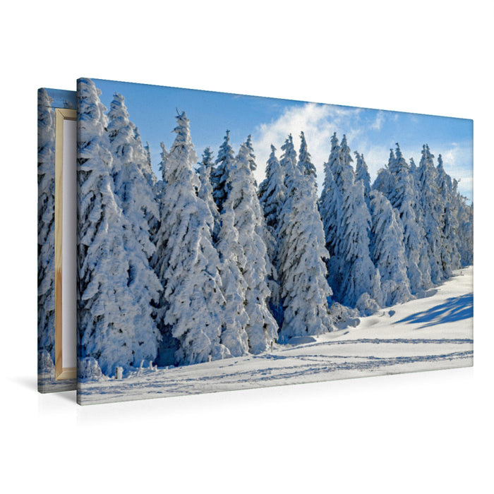 Premium Textil-Leinwand Premium Textil-Leinwand 120 cm x 80 cm quer Ein Motiv aus dem Kalender Winter. Zauberhafte Schneelandschaften