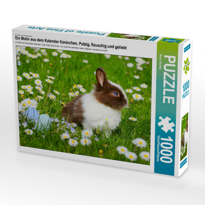 Kaninchen. Putzig, flauschig und geliebt - CALVENDO Foto-Puzzle