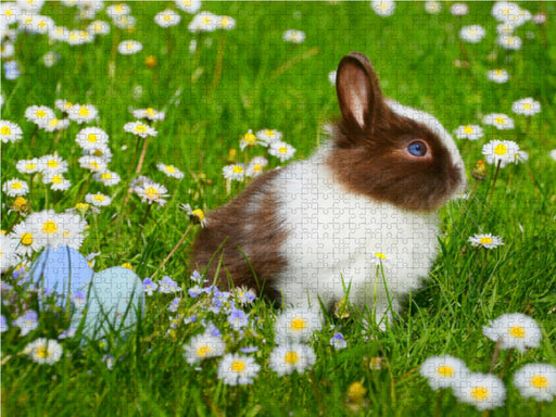 Kaninchen. Putzig, flauschig und geliebt - CALVENDO Foto-Puzzle - calvendoverlag 29.99