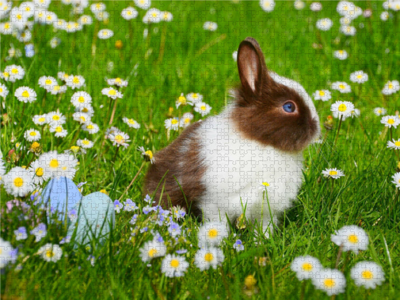 Rabbits. Cute, fluffy and loved - CALVENDO photo puzzle 