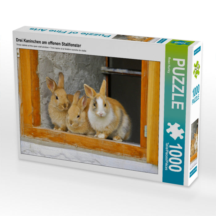 Three rabbits at the open stable window - CALVENDO photo puzzle 