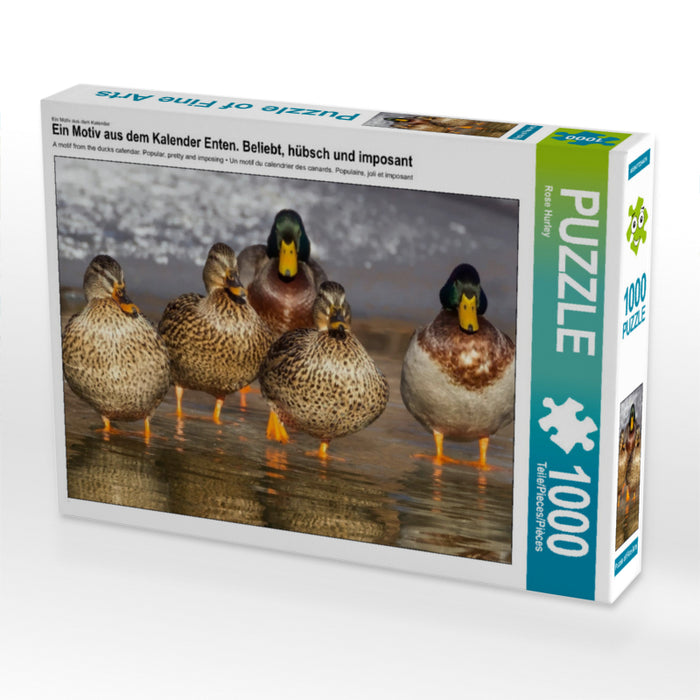 Ducks. Popular, pretty and impressive - CALVENDO photo puzzle 