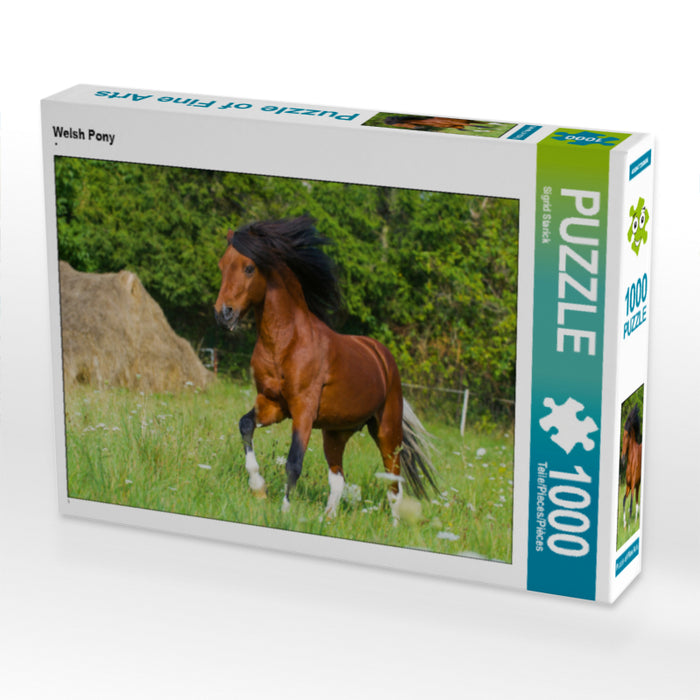 Welsh Pony - CALVENDO Foto-Puzzle - calvendoverlag 29.99