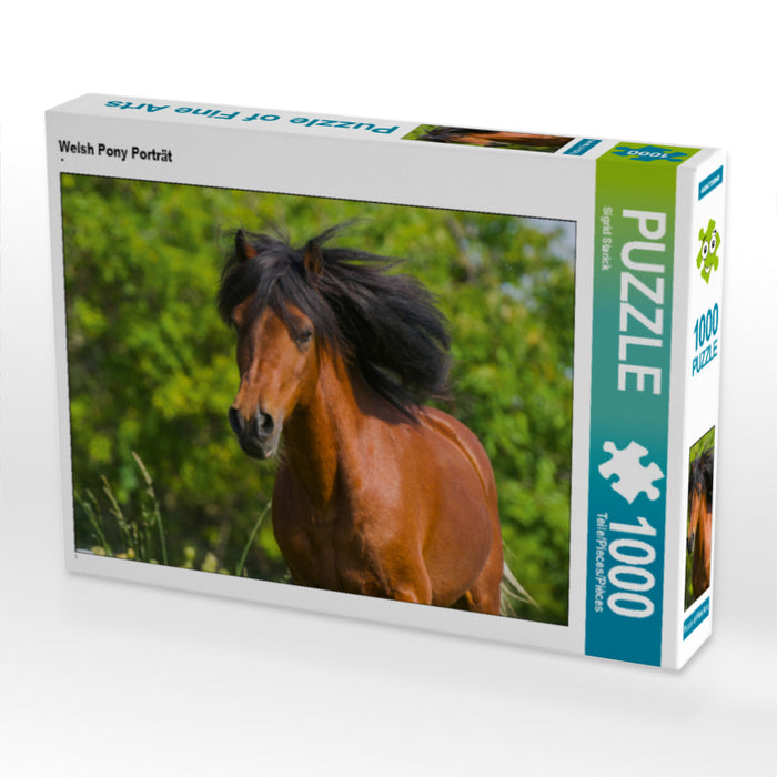 Welsh Pony Porträt - CALVENDO Foto-Puzzle - calvendoverlag 29.99