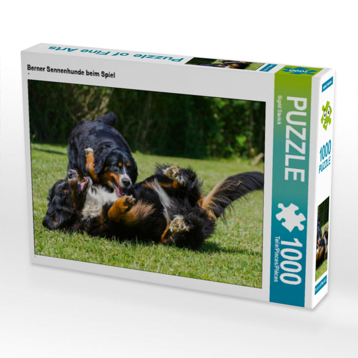 Berner Sennenhunde beim Spiel - CALVENDO Foto-Puzzle - calvendoverlag 29.99