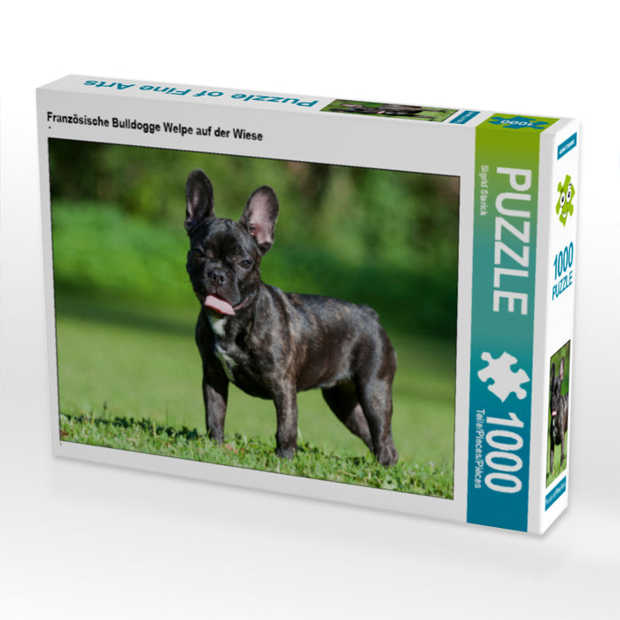 Französische Bulldogge Welpe auf der Wiese - CALVENDO Foto-Puzzle - calvendoverlag 29.99
