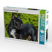 Traumhund Französische Bulldogge - CALVENDO Foto-Puzzle - calvendoverlag 29.99