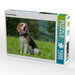 Traumhund Beagle - CALVENDO Foto-Puzzle - calvendoverlag 29.99