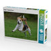 Beagle - Fliegende Ohren - CALVENDO Foto-Puzzle - calvendoverlag 29.99