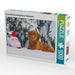 Nova Scotia Duck Tolling Retriever Weihnachten - CALVENDO Foto-Puzzle - calvendoverlag 29.99