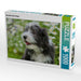 Bearded Collie Welpe - CALVENDO Foto-Puzzle - calvendoverlag 29.99