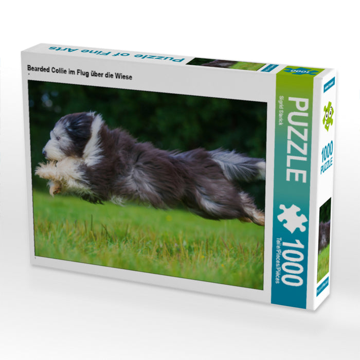 Bearded Collie im Flug über die Wiese - CALVENDO Foto-Puzzle - calvendoverlag 29.99