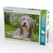 Bearded Collie Hündin - CALVENDO Foto-Puzzle - calvendoverlag 29.99