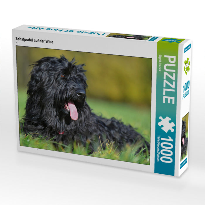 Schafpudel auf der Wise - CALVENDO Foto-Puzzle - calvendoverlag 29.99