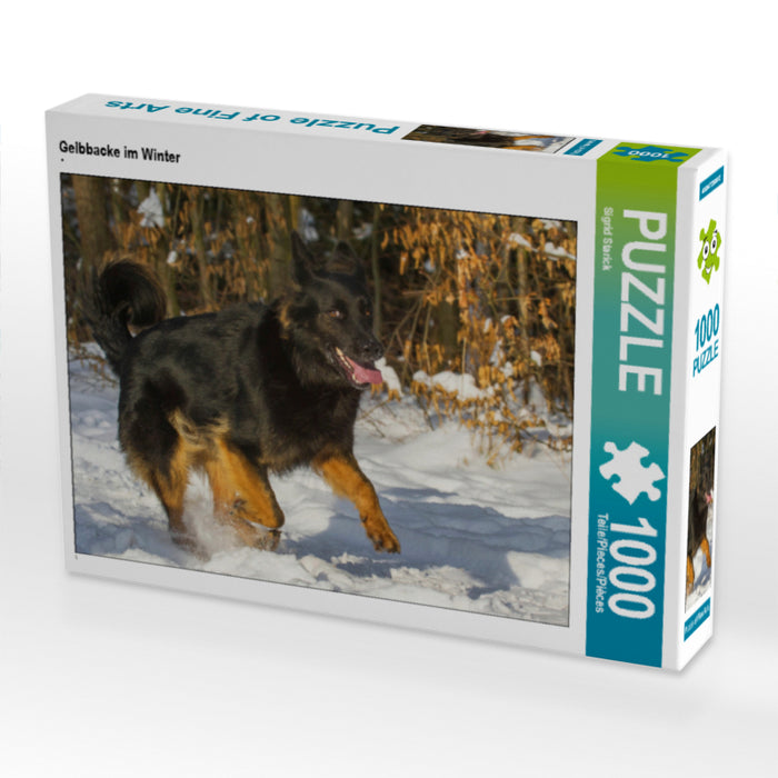 Gelbbacke im Winter - CALVENDO Foto-Puzzle - calvendoverlag 29.99