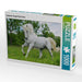 Lipizzaner Hengst Pluto Darina - CALVENDO Foto-Puzzle - calvendoverlag 29.99