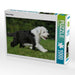 Bobtail Welpe - CALVENDO Foto-Puzzle - calvendoverlag 29.99