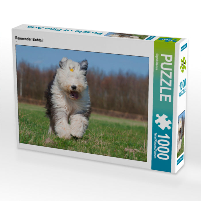 Rennender Bobtail - CALVENDO Foto-Puzzle - calvendoverlag 29.99