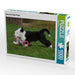 Spielender Bobtail Welpe - CALVENDO Foto-Puzzle - calvendoverlag 29.99