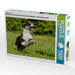 Bekannt wie ein bunter Hund. Australian Shepherd - Familienplaner hoch - CALVENDO Foto-Puzzle - calvendoverlag 29.99