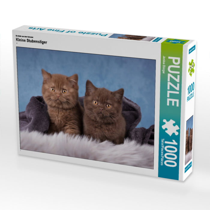 Kleine Stubenstiger - CALVENDO Foto-Puzzle - calvendoverlag 29.99