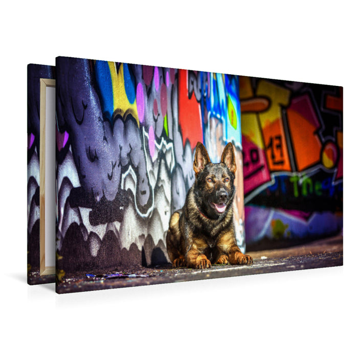 Premium Textil-Leinwand Premium Textil-Leinwand 120 cm x 80 cm quer Deutscher Schäferhund liegt an einer Graffitiwand