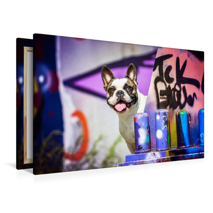 Premium Textil-Leinwand Premium Textil-Leinwand 120 cm x 80 cm quer French Bulldog sitzt vor einer Graffitiwand