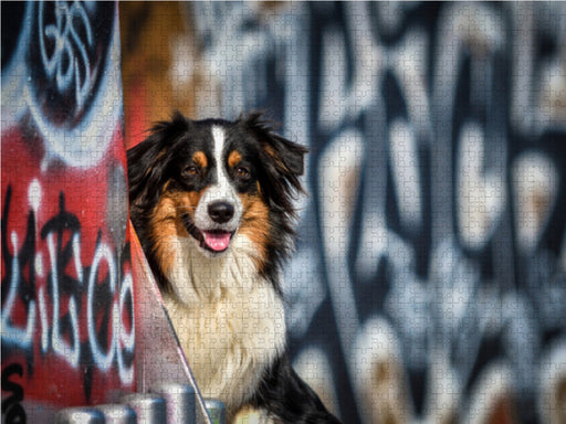 Australien Shepherd Potrait vor einer Graffitiwand - CALVENDO Foto-Puzzle - calvendoverlag 29.99