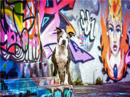 American Staffordshire Terrier steht an einer Graffitiwand - CALVENDO Foto-Puzzle - calvendoverlag 29.99