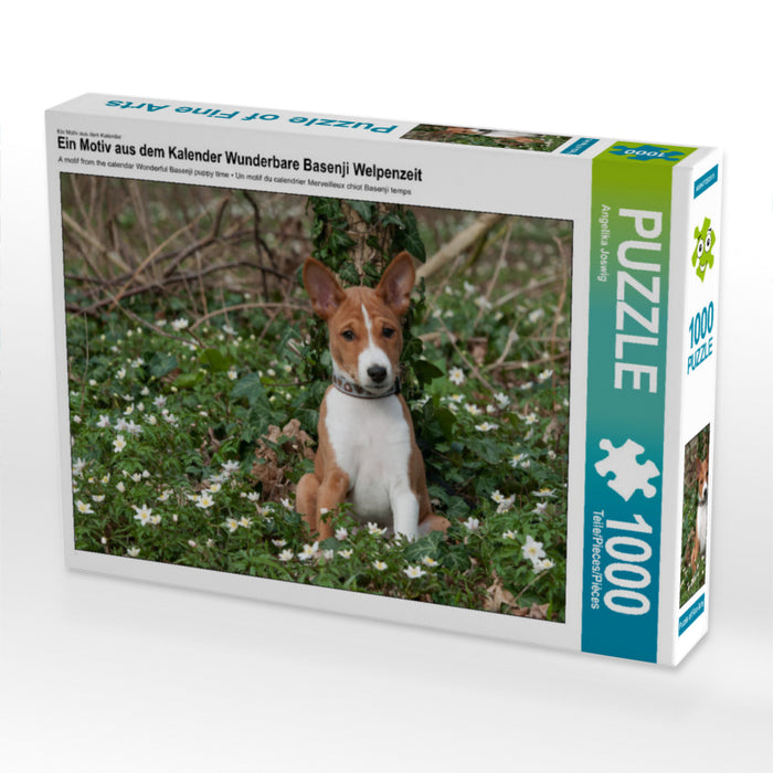 Merveilleux moment avec un chiot Basenji - Puzzle photo CALVENDO 