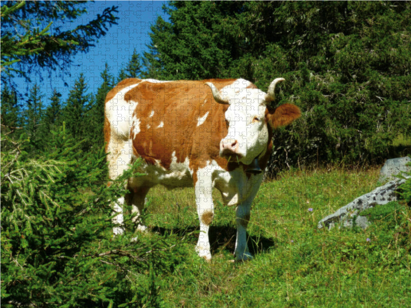 Kuh auf der Alm - CALVENDO Foto-Puzzle - calvendoverlag 39.99