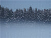 Wald im Nebel - CALVENDO Foto-Puzzle - calvendoverlag 39.99