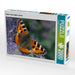 Kleiner Fuchs (Aglais urticae) - CALVENDO Foto-Puzzle - calvendoverlag 39.99