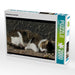 Schlafende Hauskatze - CALVENDO Foto-Puzzle - calvendoverlag 39.99