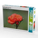 Rote Rosenblüte mit Knospe - CALVENDO Foto-Puzzle - calvendoverlag 39.99