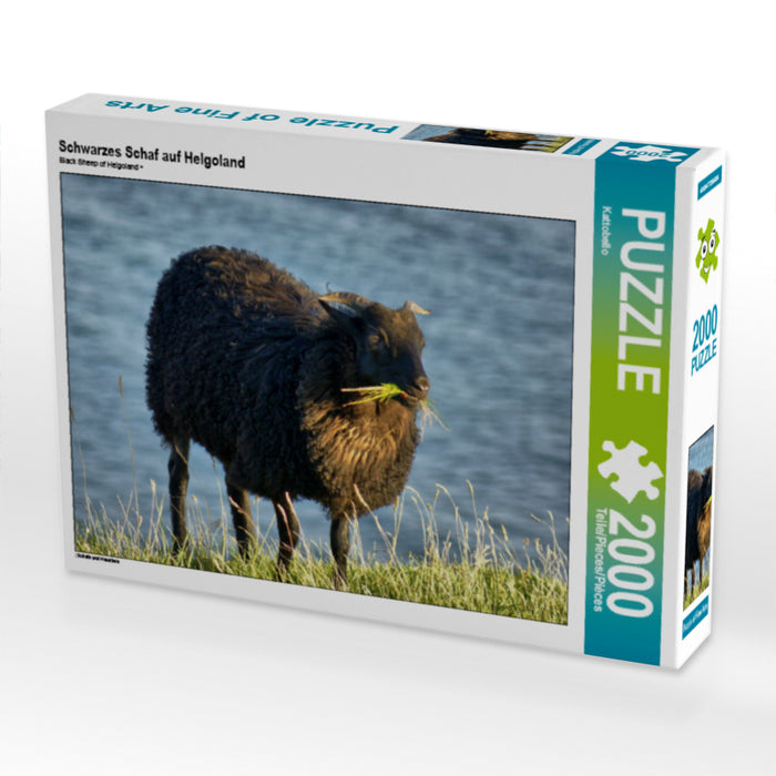 Schwarzes Schaf auf Helgoland - CALVENDO Foto-Puzzle - calvendoverlag 39.99